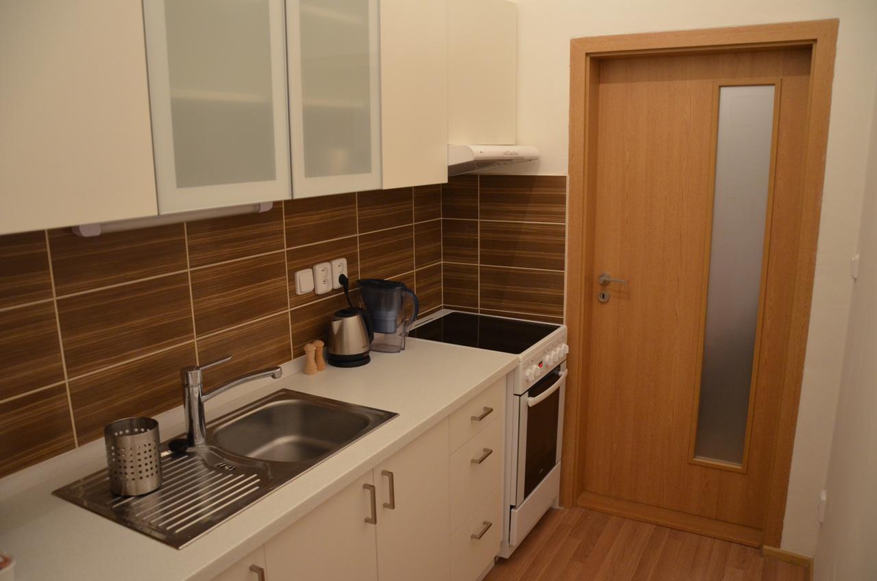 Comfortable Vlkova Apartment