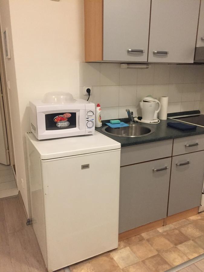 Apartment U Gymnazia Irina