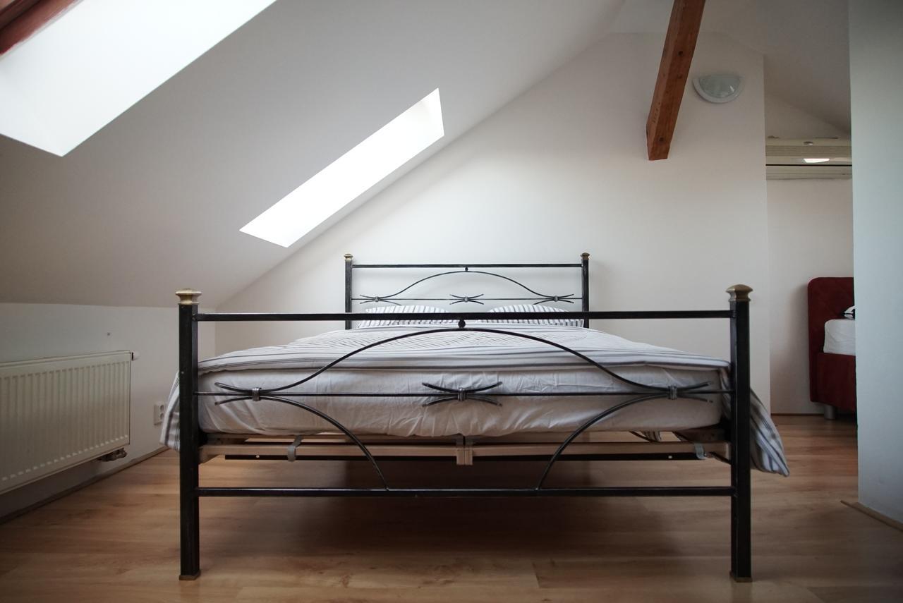 Loft With Amazing Terrace Prag