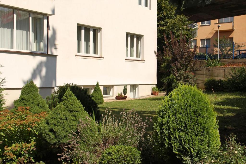 Guest House Venus Apartment