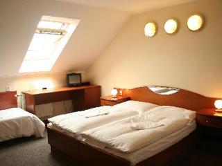 Hotel U Hvezdy 3*