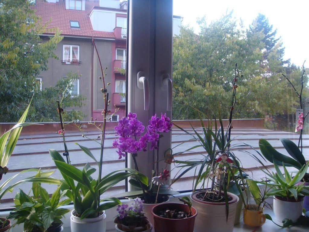 Minihotel Vitex Prague