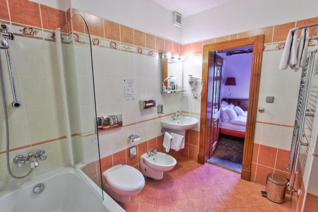 Otel U Pava 4*