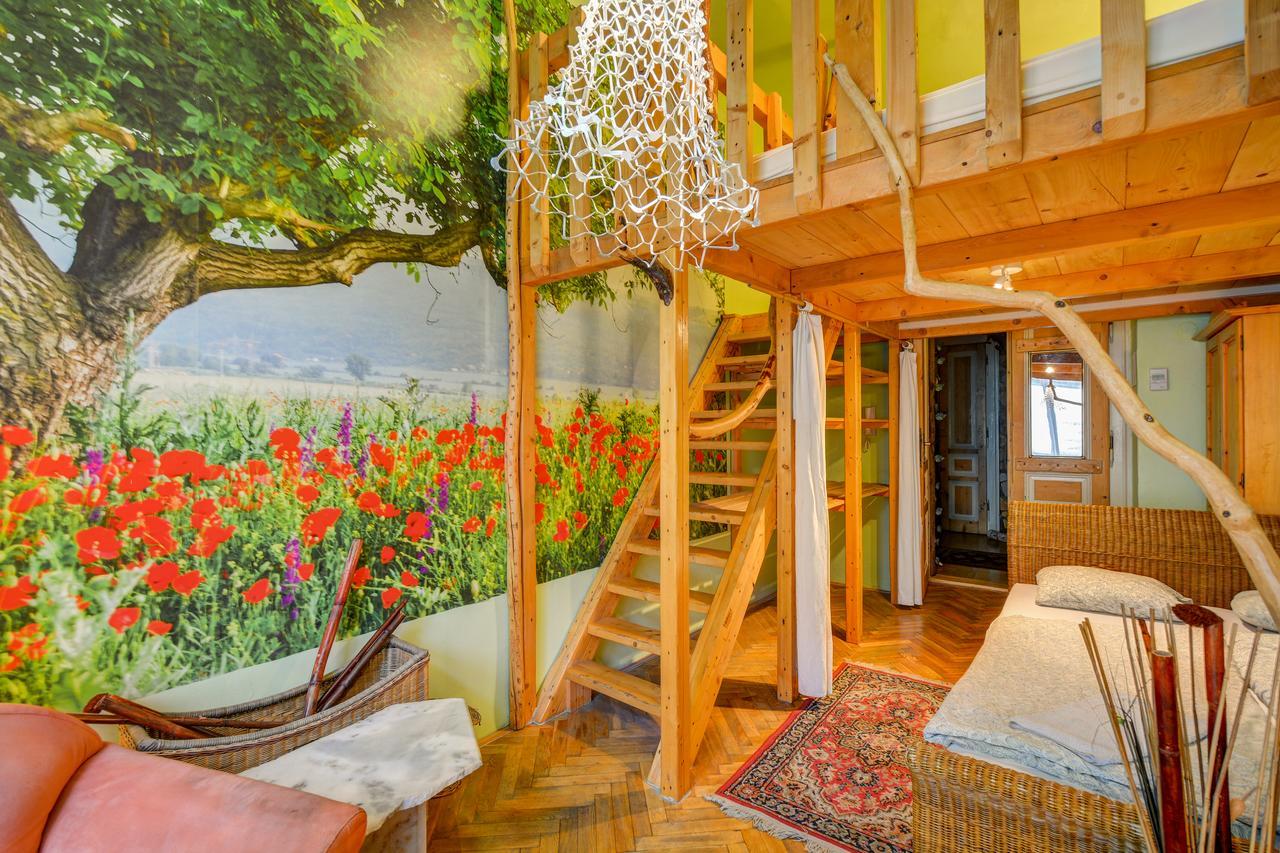 Artharmony & Auberge de jeunesse *