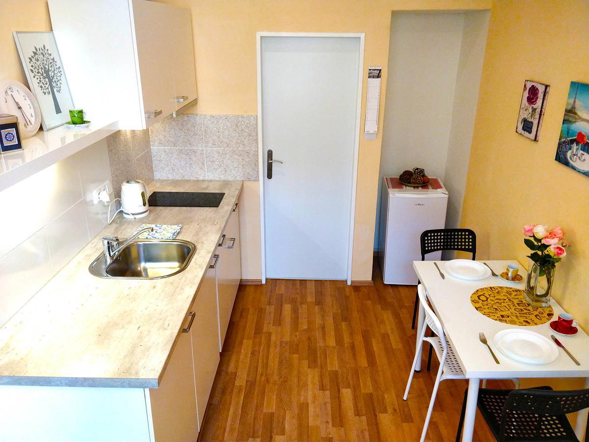 Apartment Lidicka *