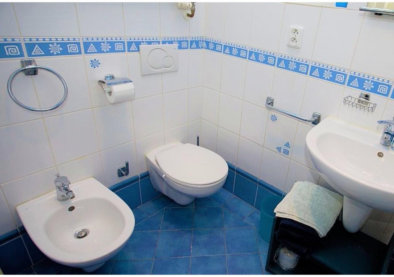 Apartment Trojicka *