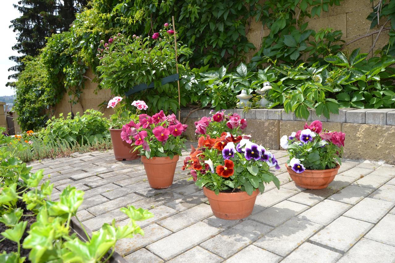 Guest house Nika Prague