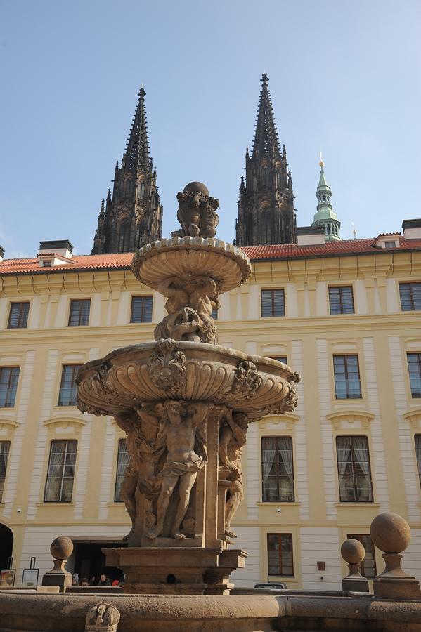 Flamingo * Praga