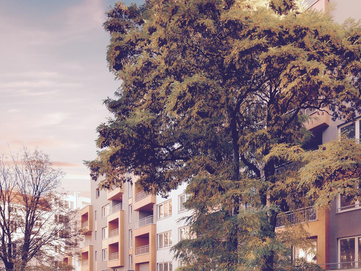 Blanc De Luxe Apartamento *