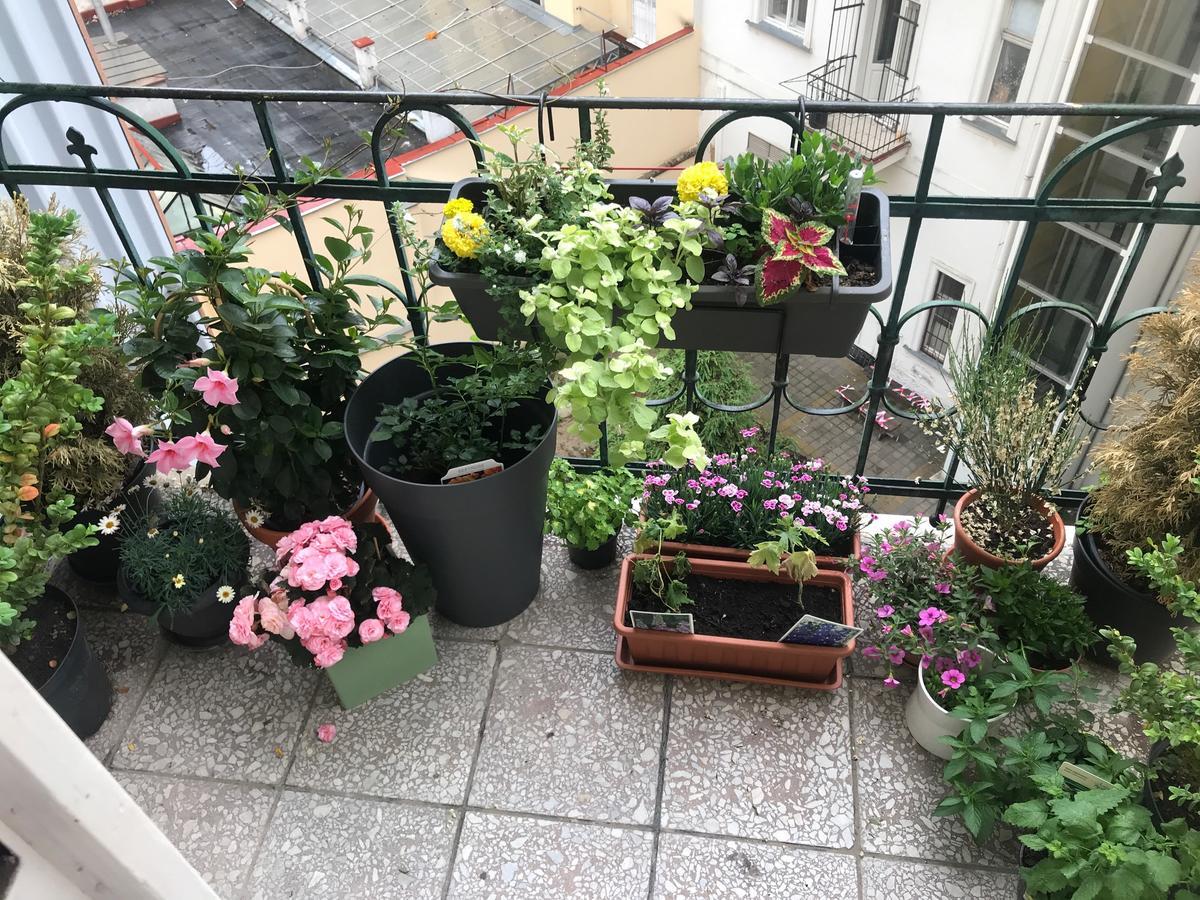 Charming Apt W Balcony Old Town Praga