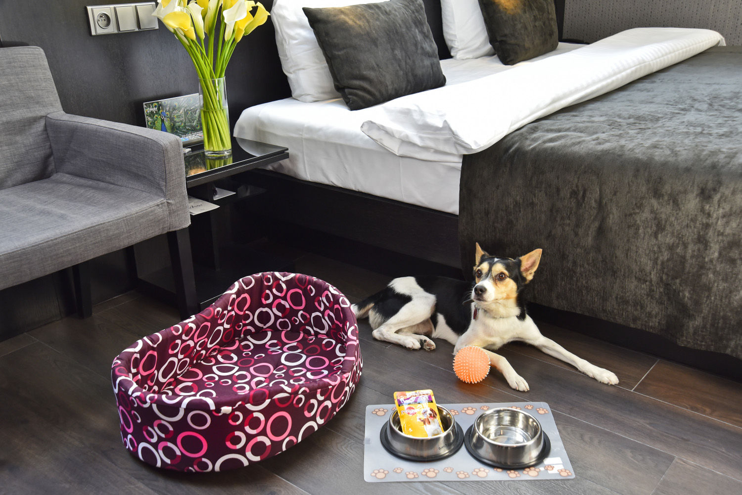 Ametyst Hotel