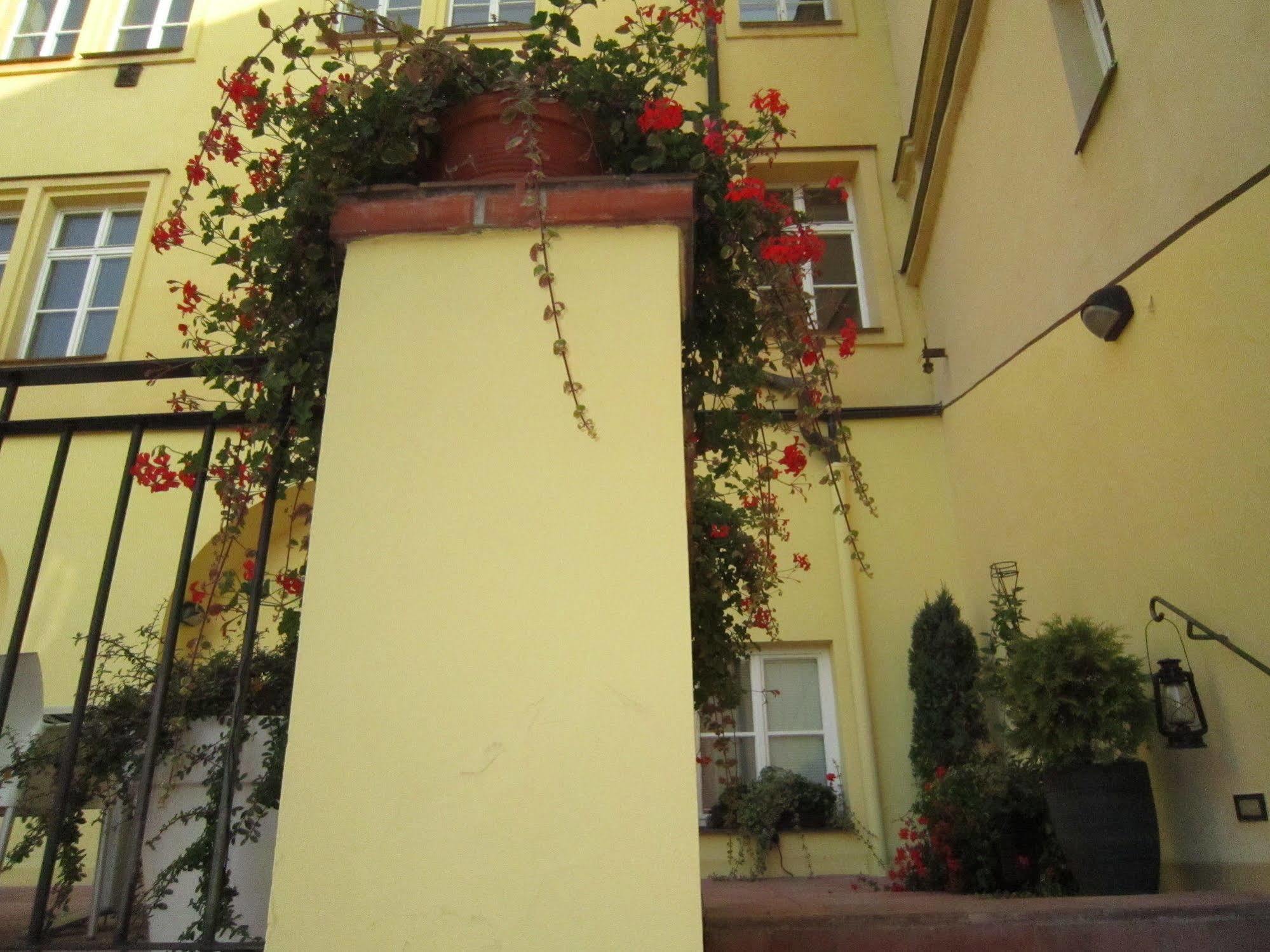 Otel Domus Henrici Prag