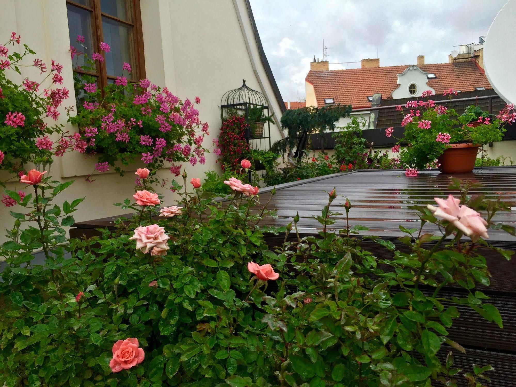 Daire Old Town Boutique Prag