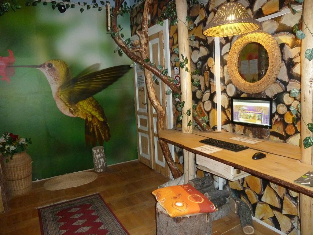 Artharmony & Auberge de jeunesse *