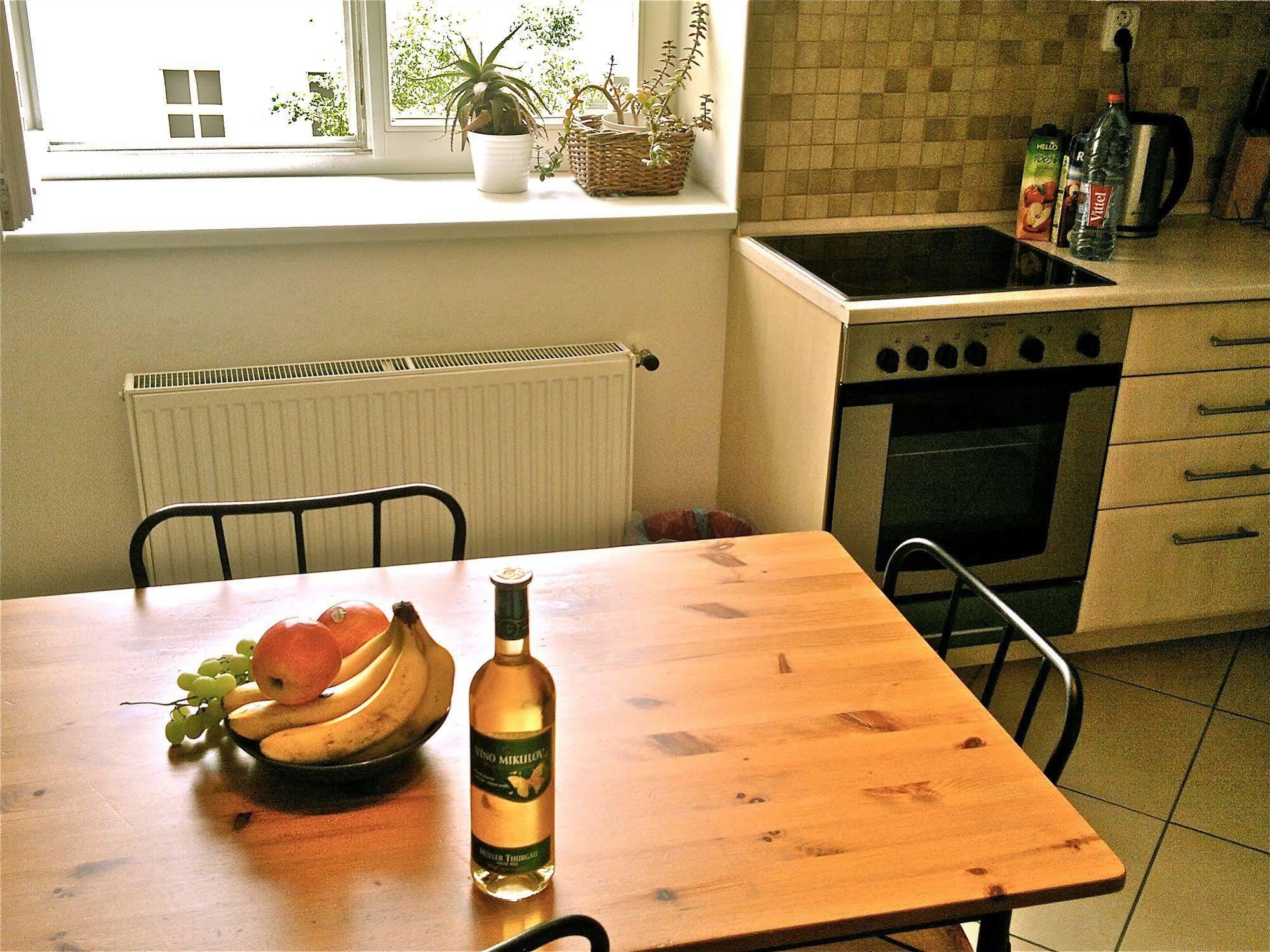 Apartment Pinkas
