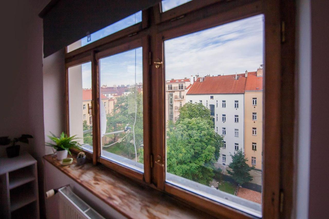 Slavikova Daire *