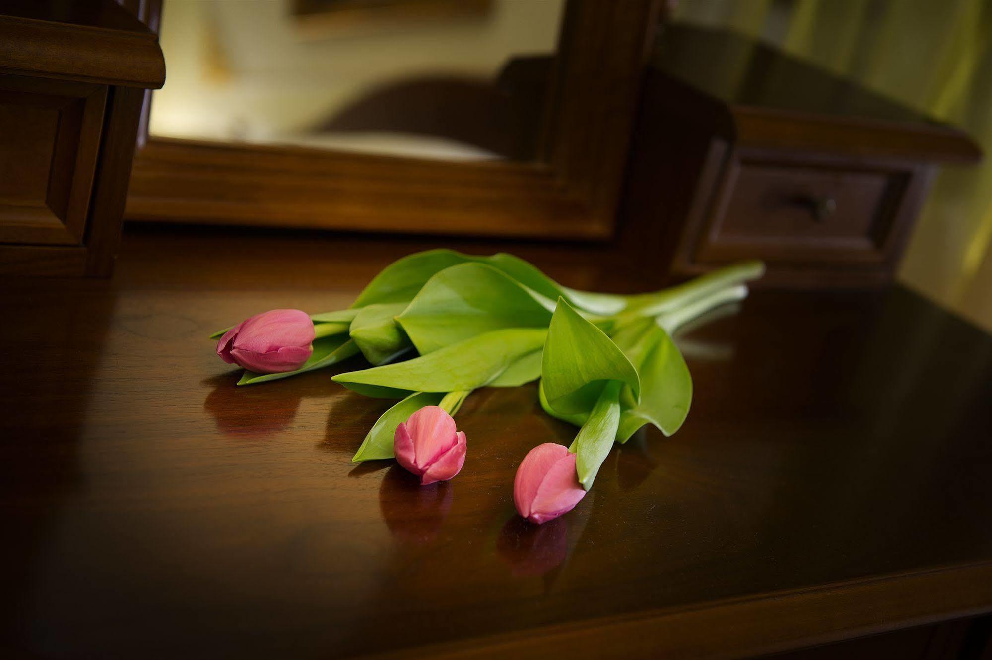 General Boutique & Wellness 5*