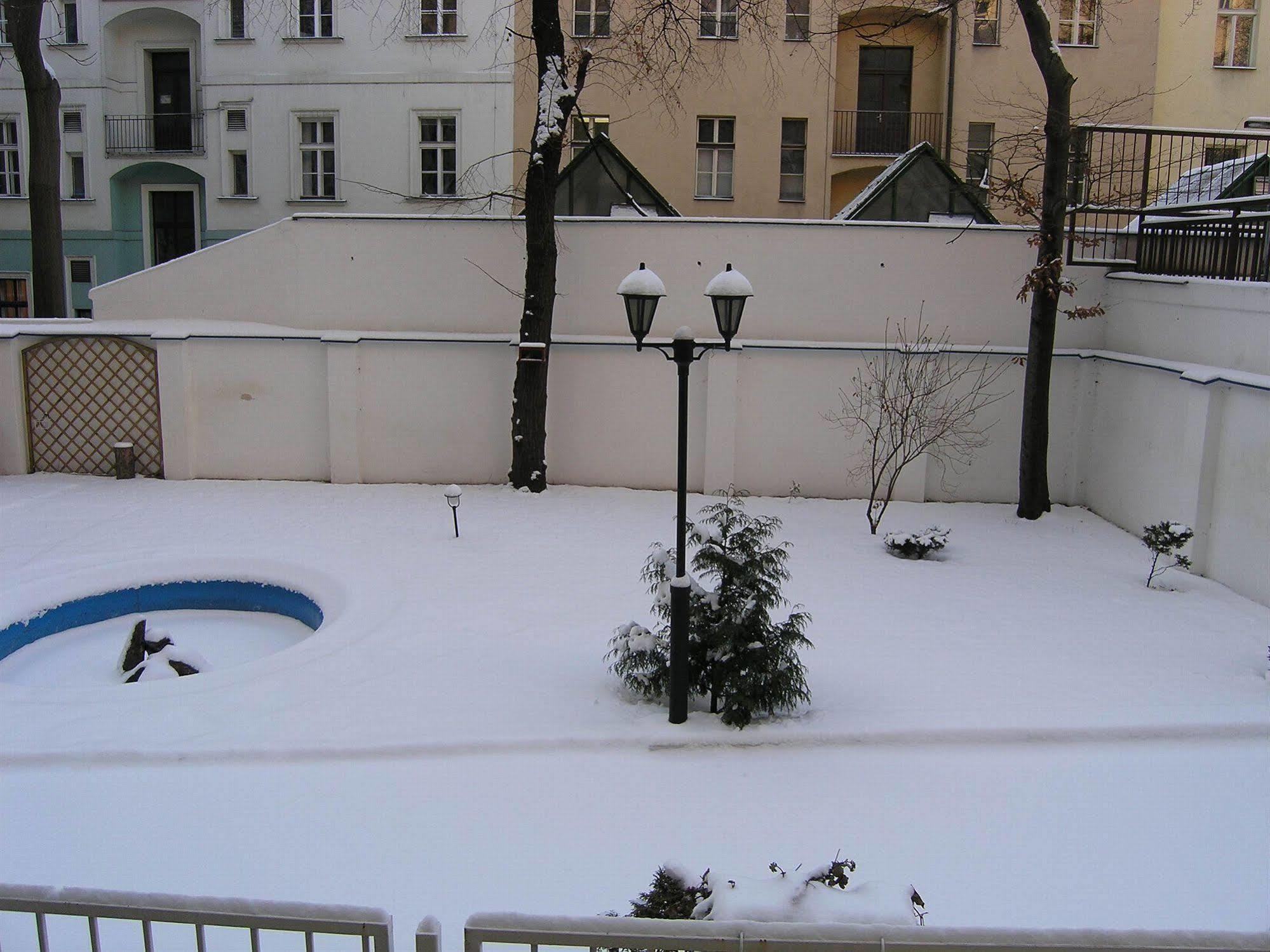Brezina Praga