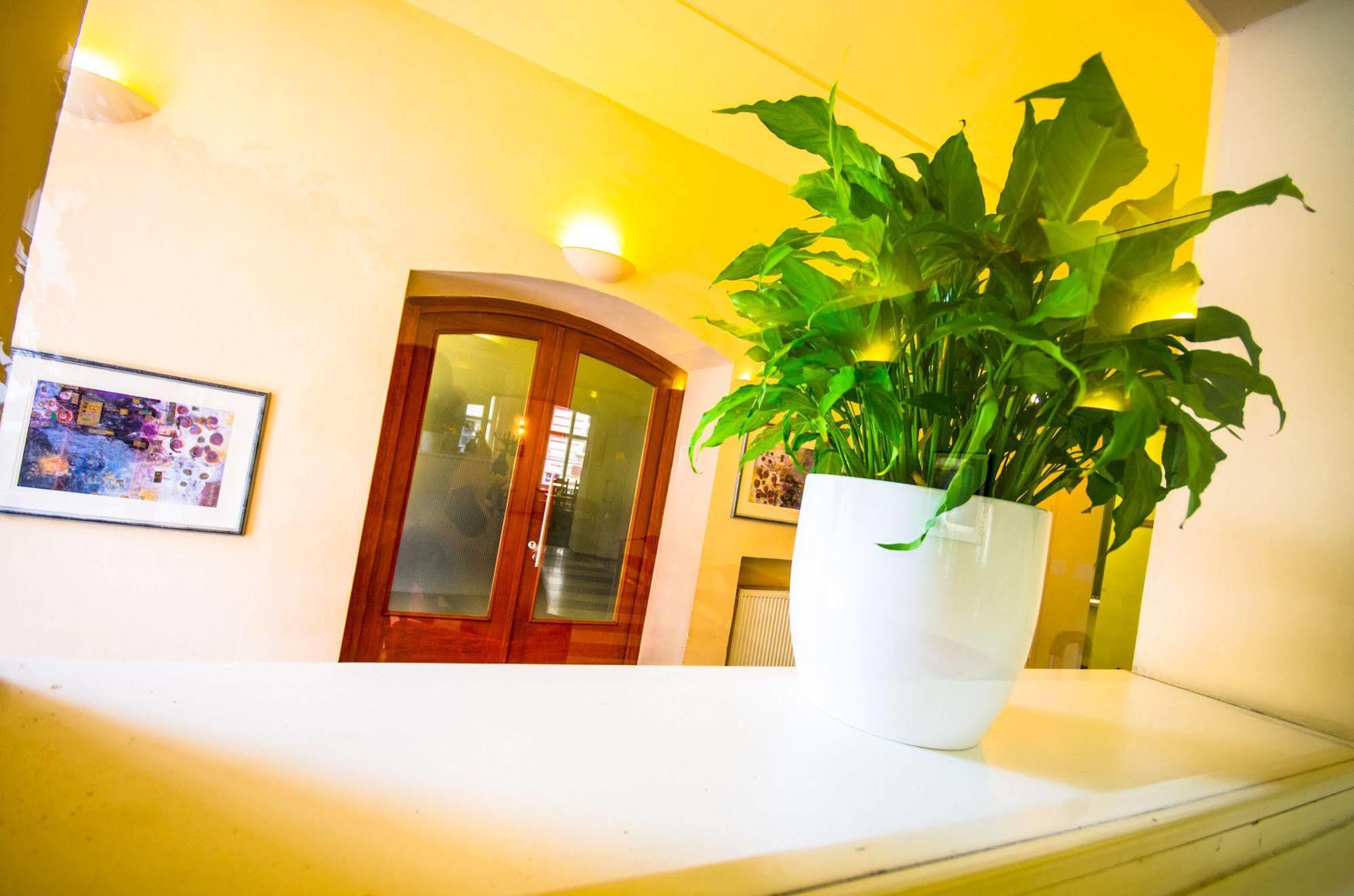 Hotel Adler 4*