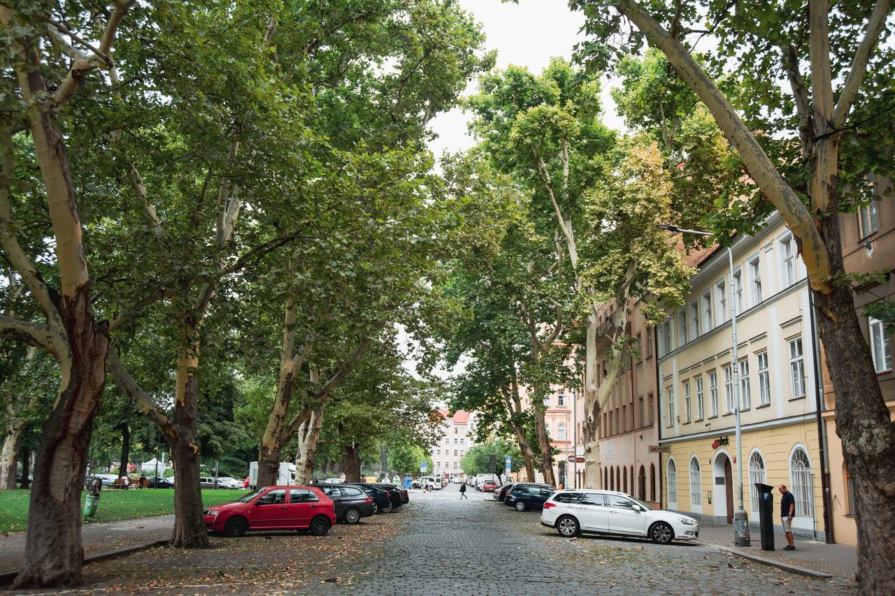Gesse Kollarova * Prague