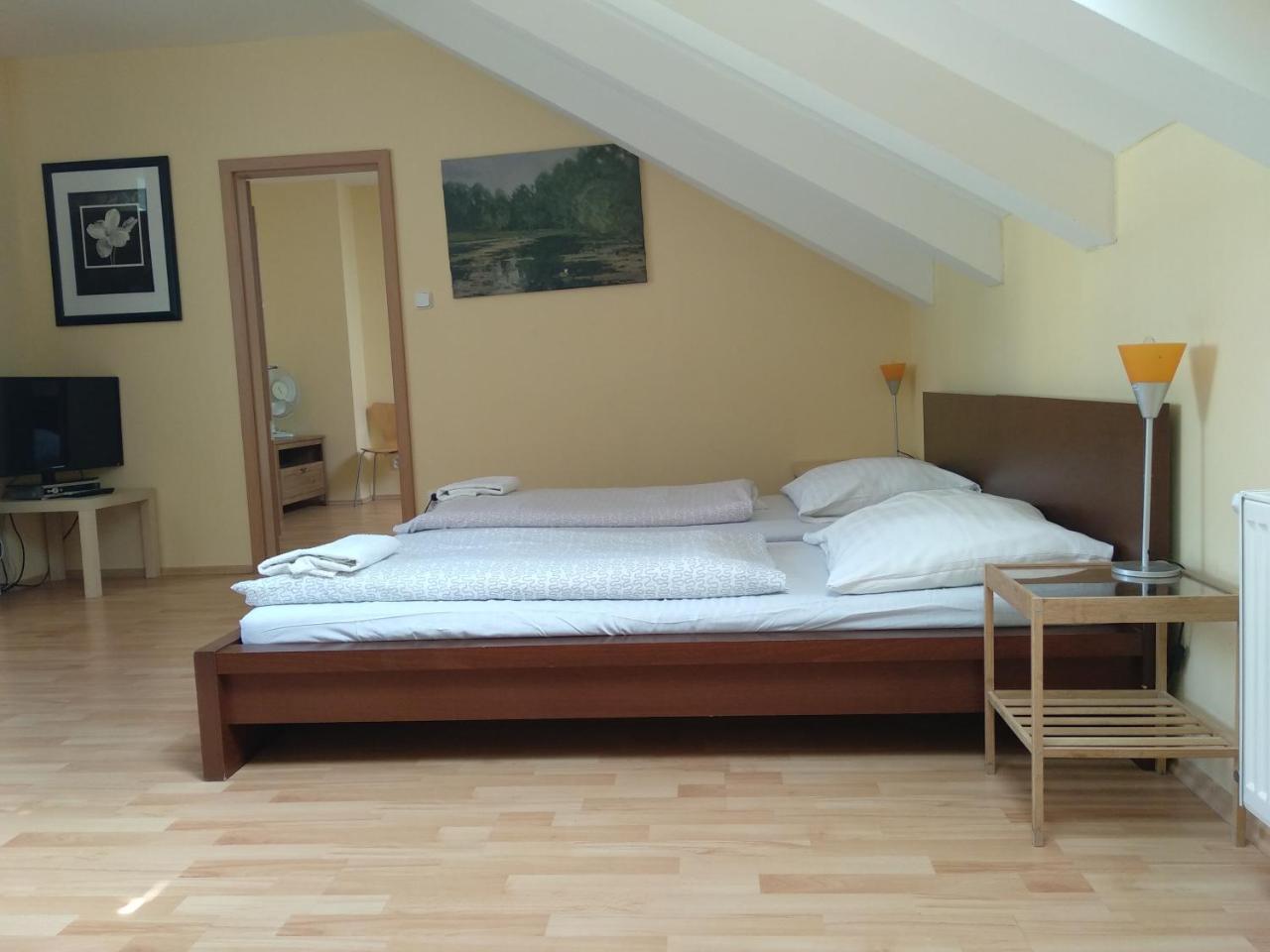 Pinkas Apartment *