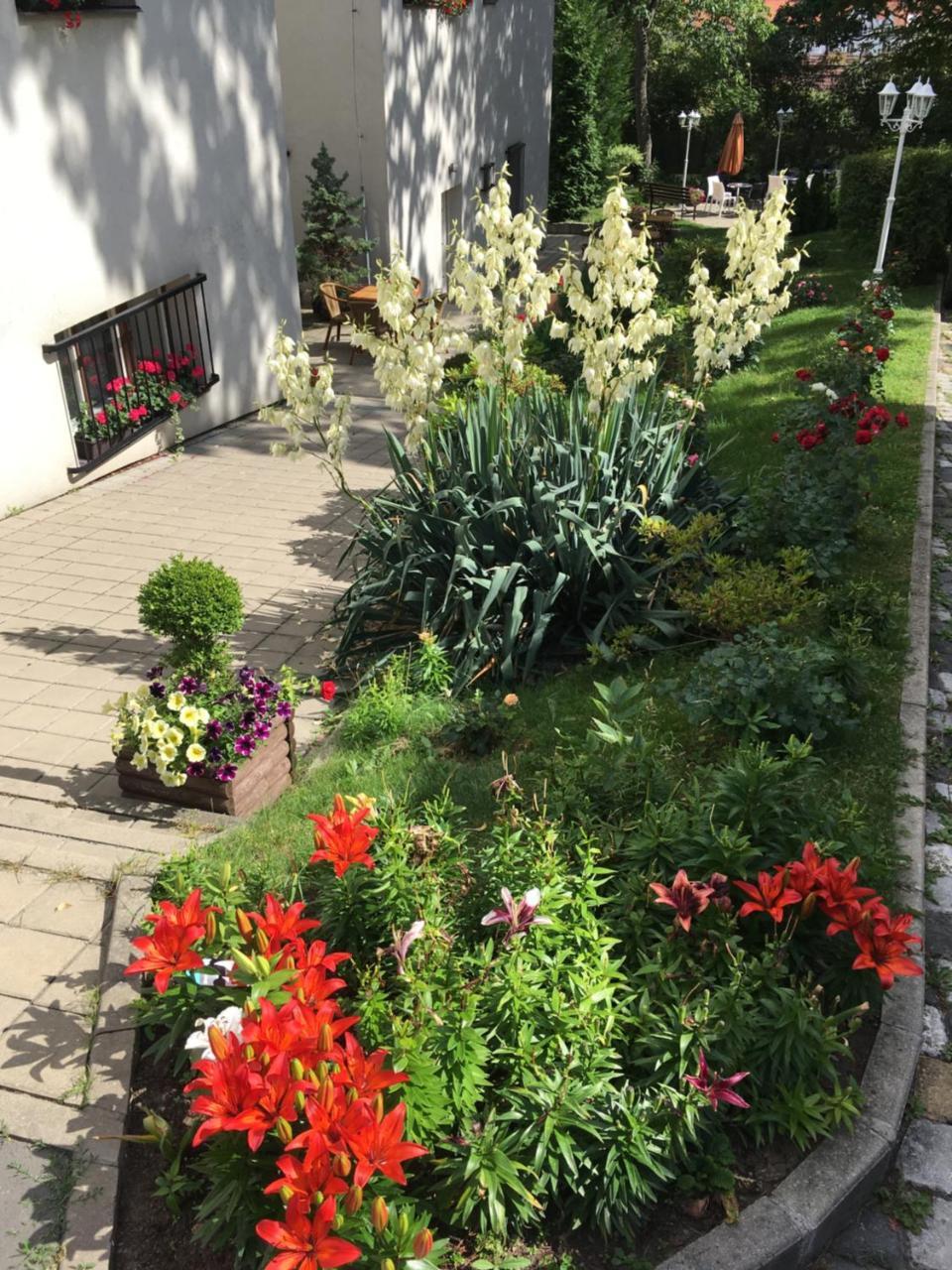 Jana - Domov Mladeze 2* Prague