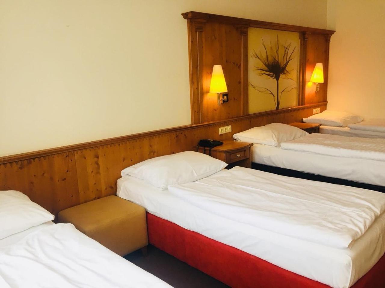 Hotel Branik 3*