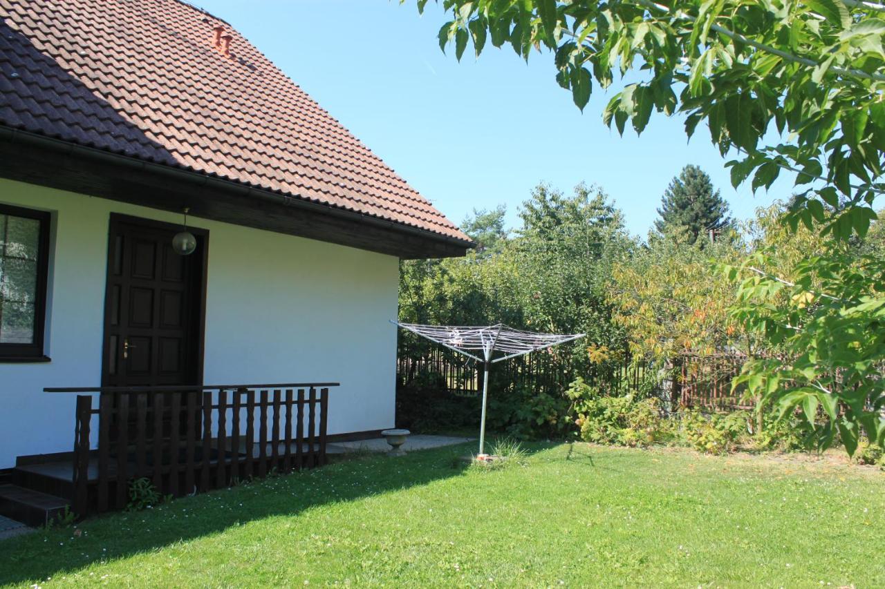 Conifer Idyllicprague