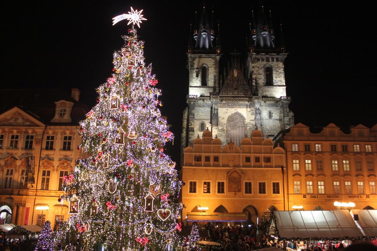 Conifer Idyllicprague *