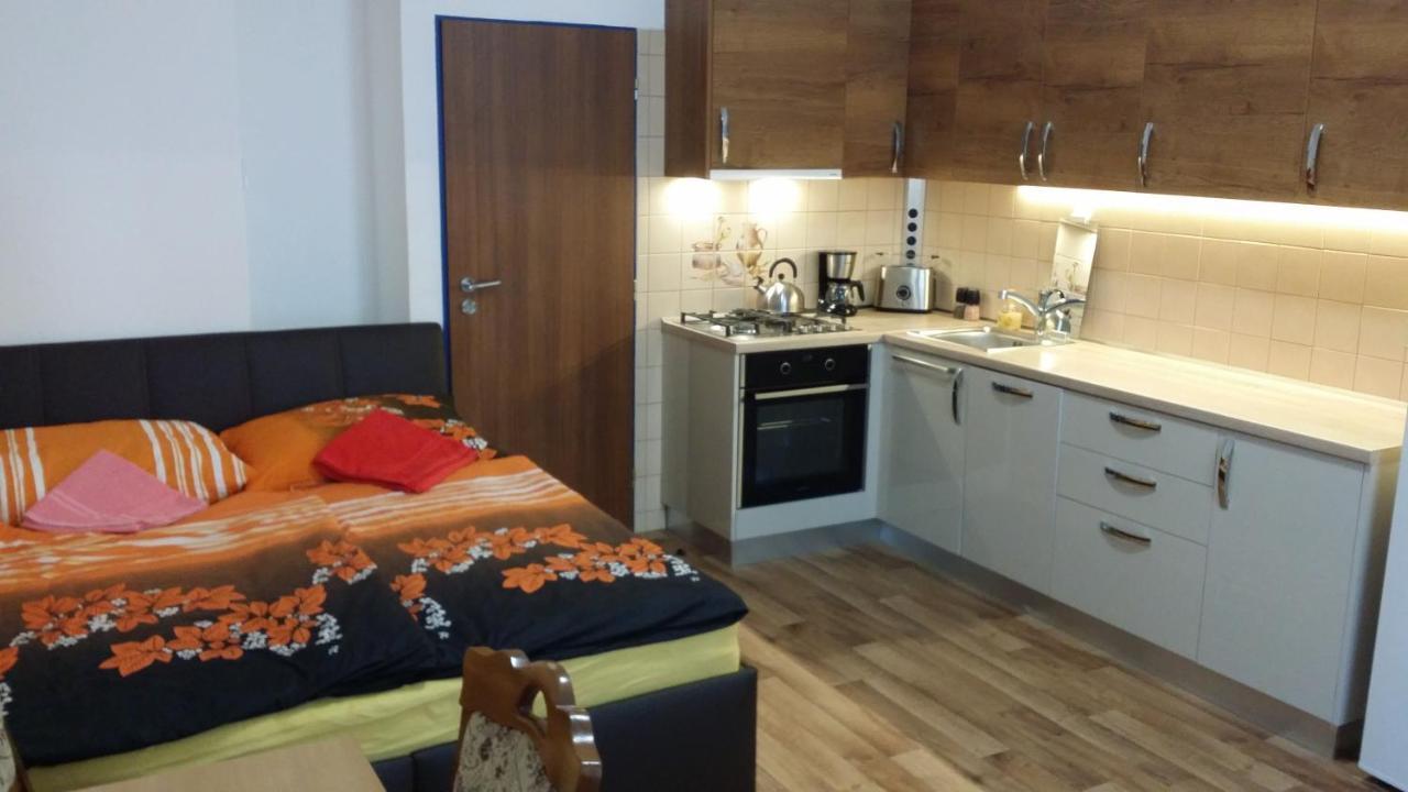 Room&kitchen Next To Castle Guest house Prague