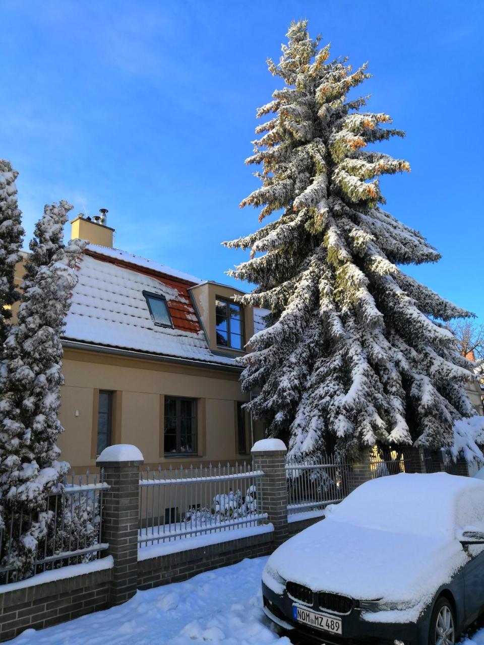Krocinka Prague