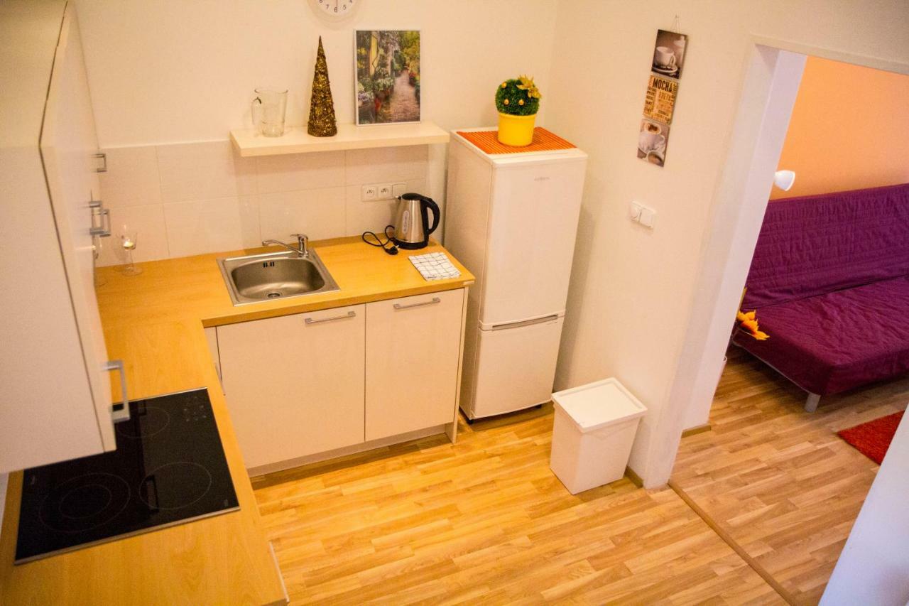 Apartment Lidicka
