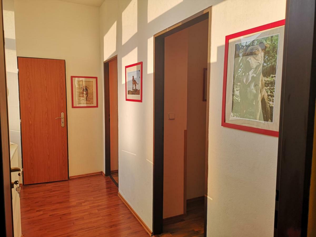 Auspicie Aparthotel 3*