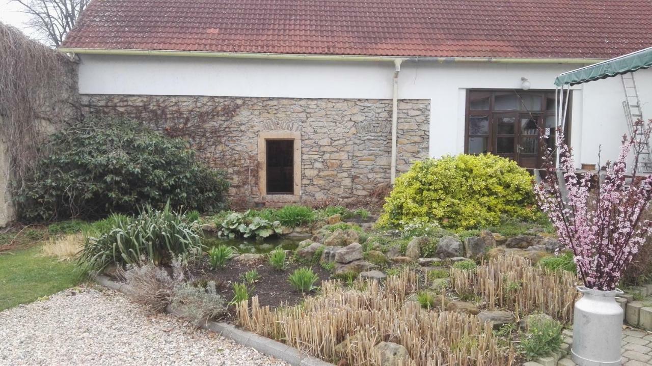Guest house Cesky Statek