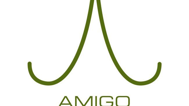 Amigo Centre 4*