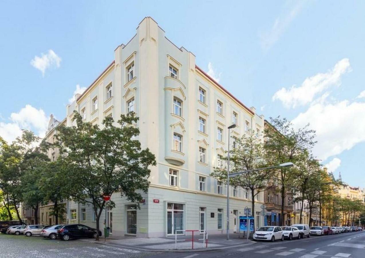 Friendly In Daire Prag
