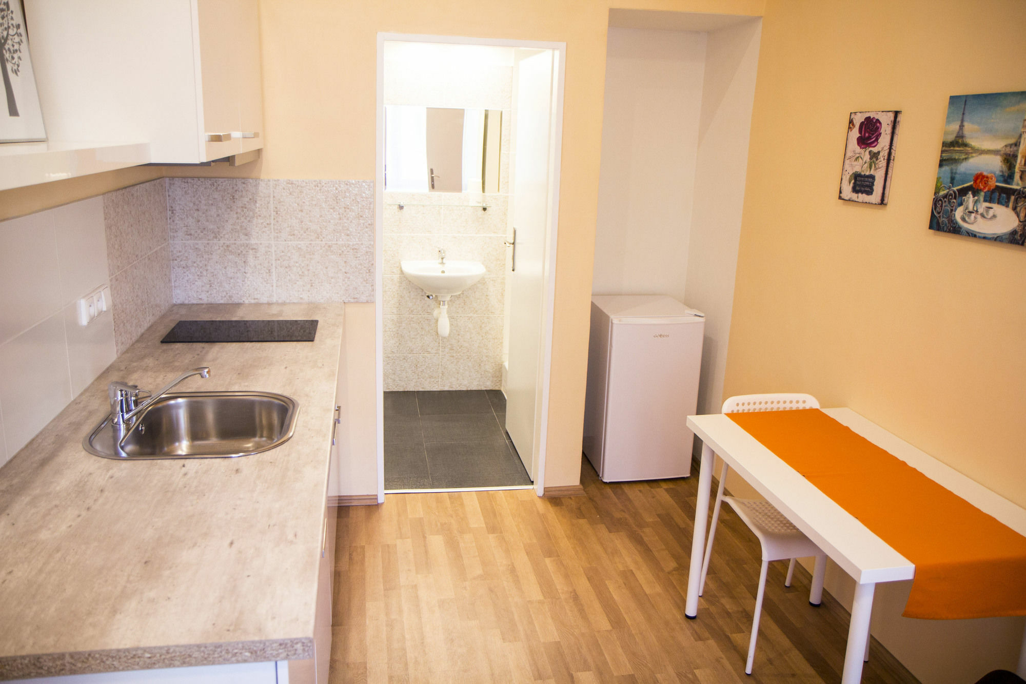 Apartment Lidicka Prague