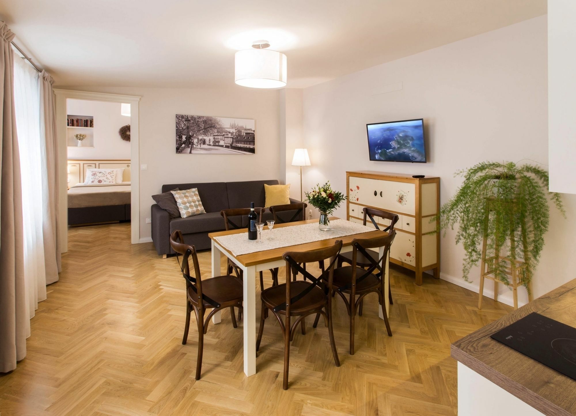 Apartment Seno6