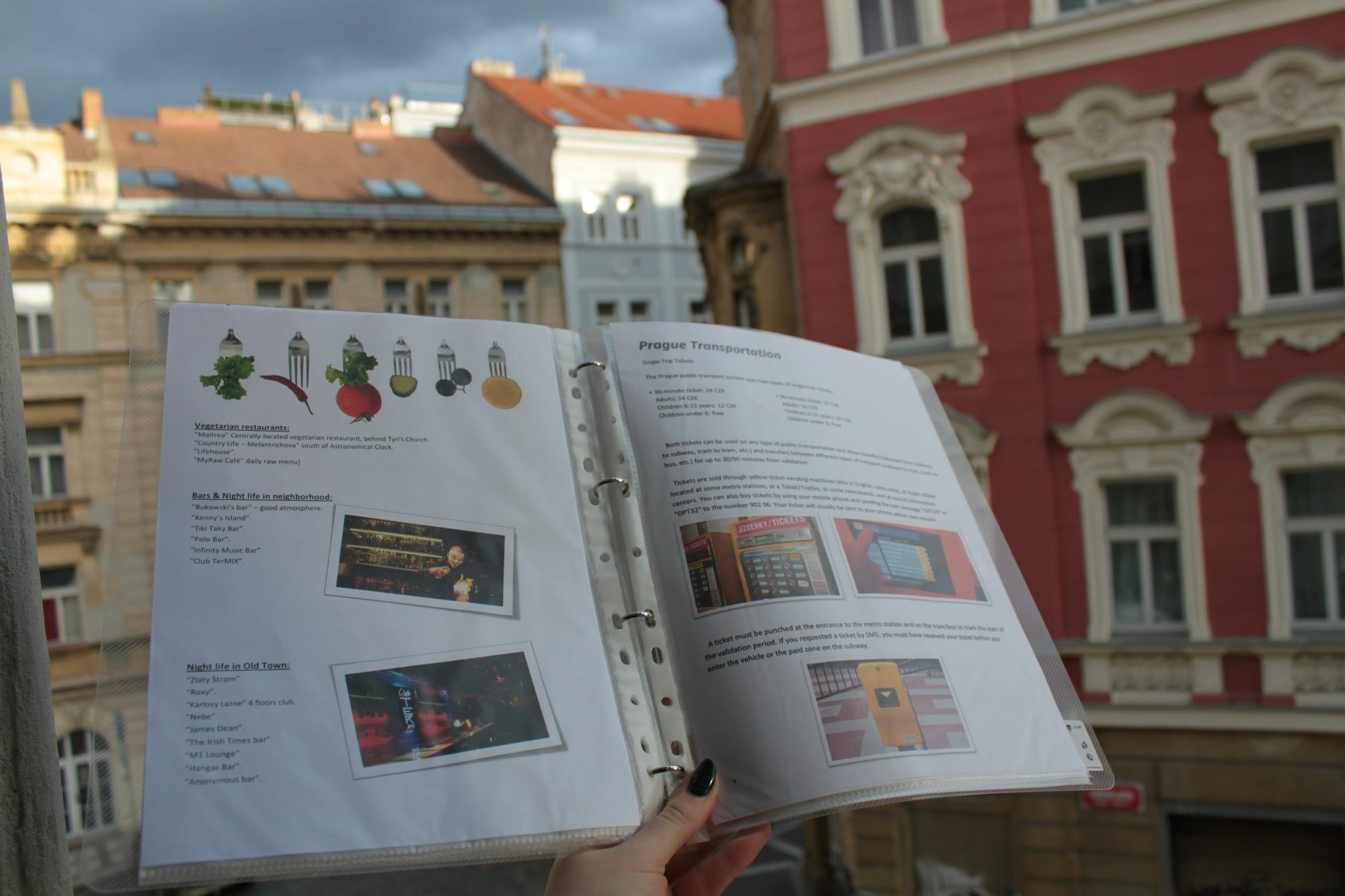 Daire Nejedleho Apartmeet *
