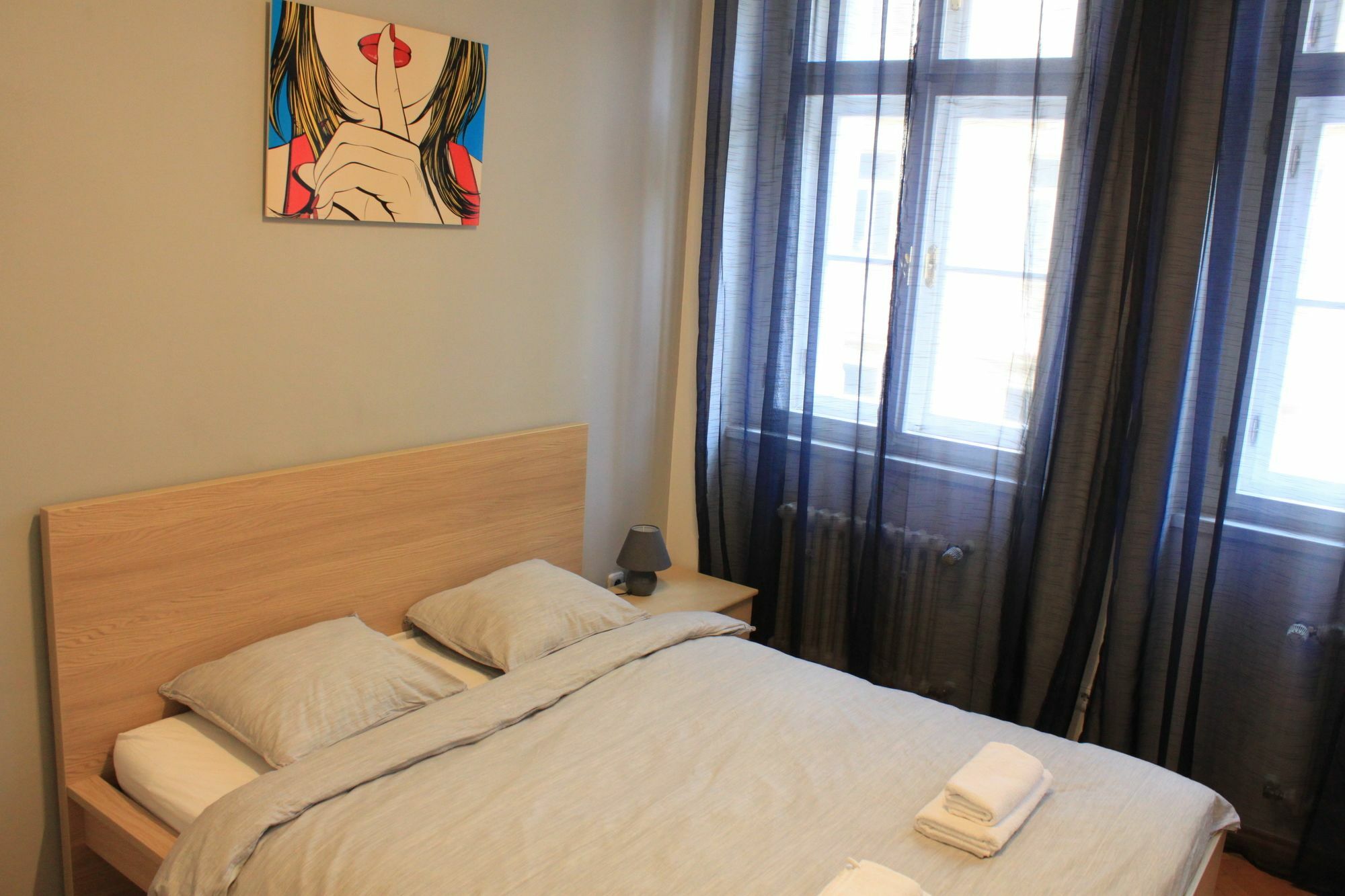 Daire Nejedleho Apartmeet Prag