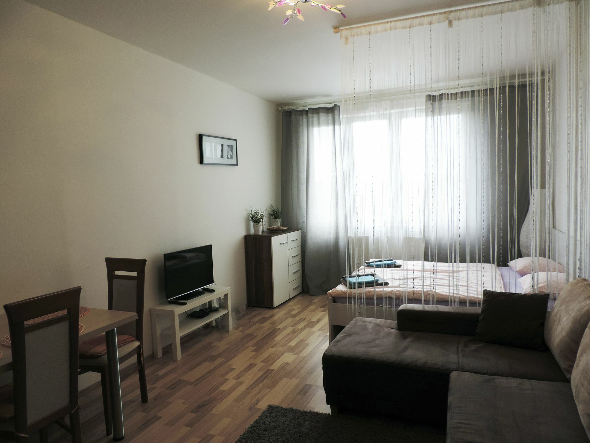 Apartment Freyova 25 *