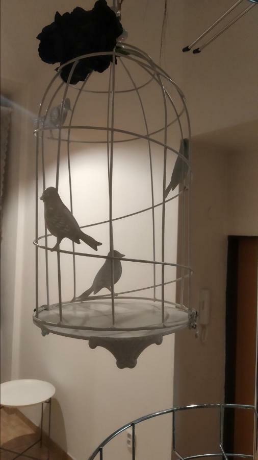 Ruzova Spot Appartement *