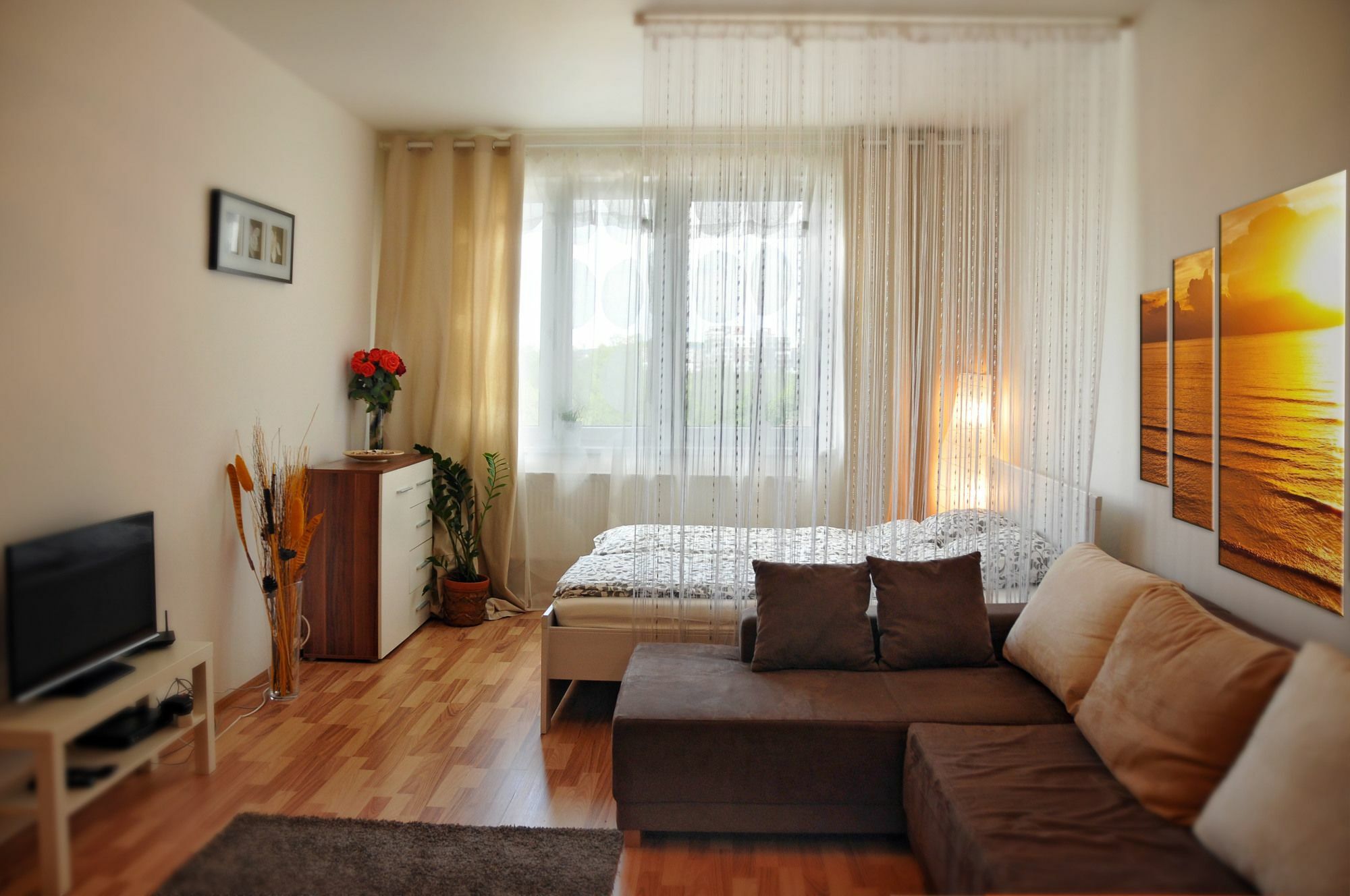 Homeroomsprague Prague