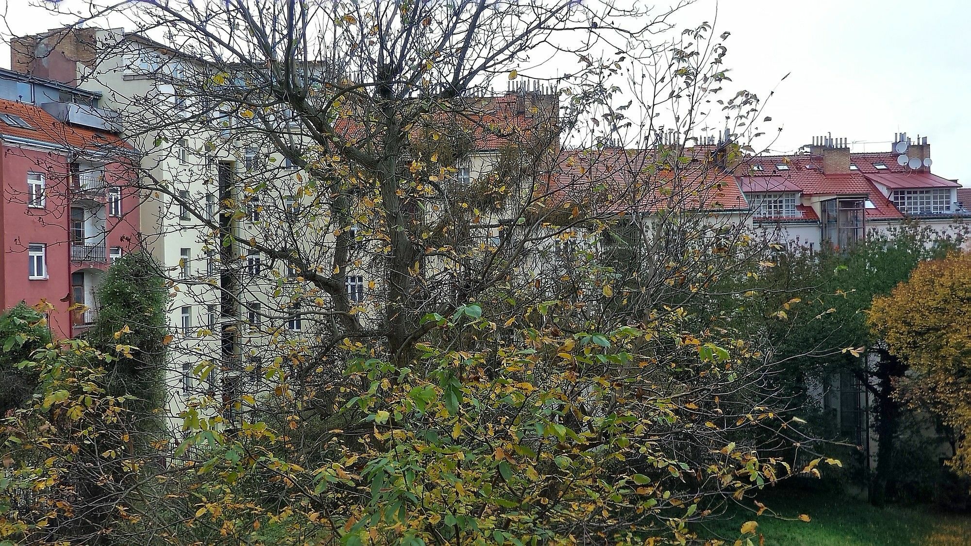 Apartment Niko 2 *