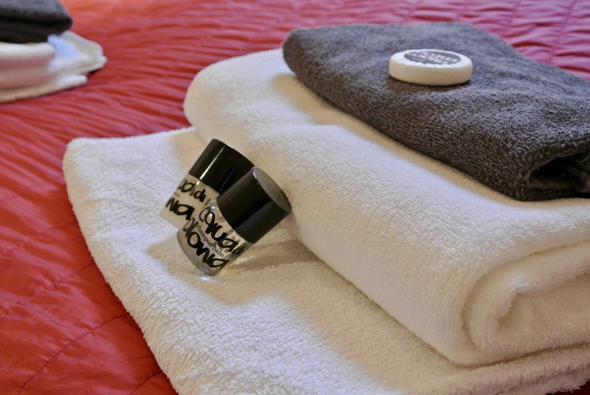 Apartment Letna *