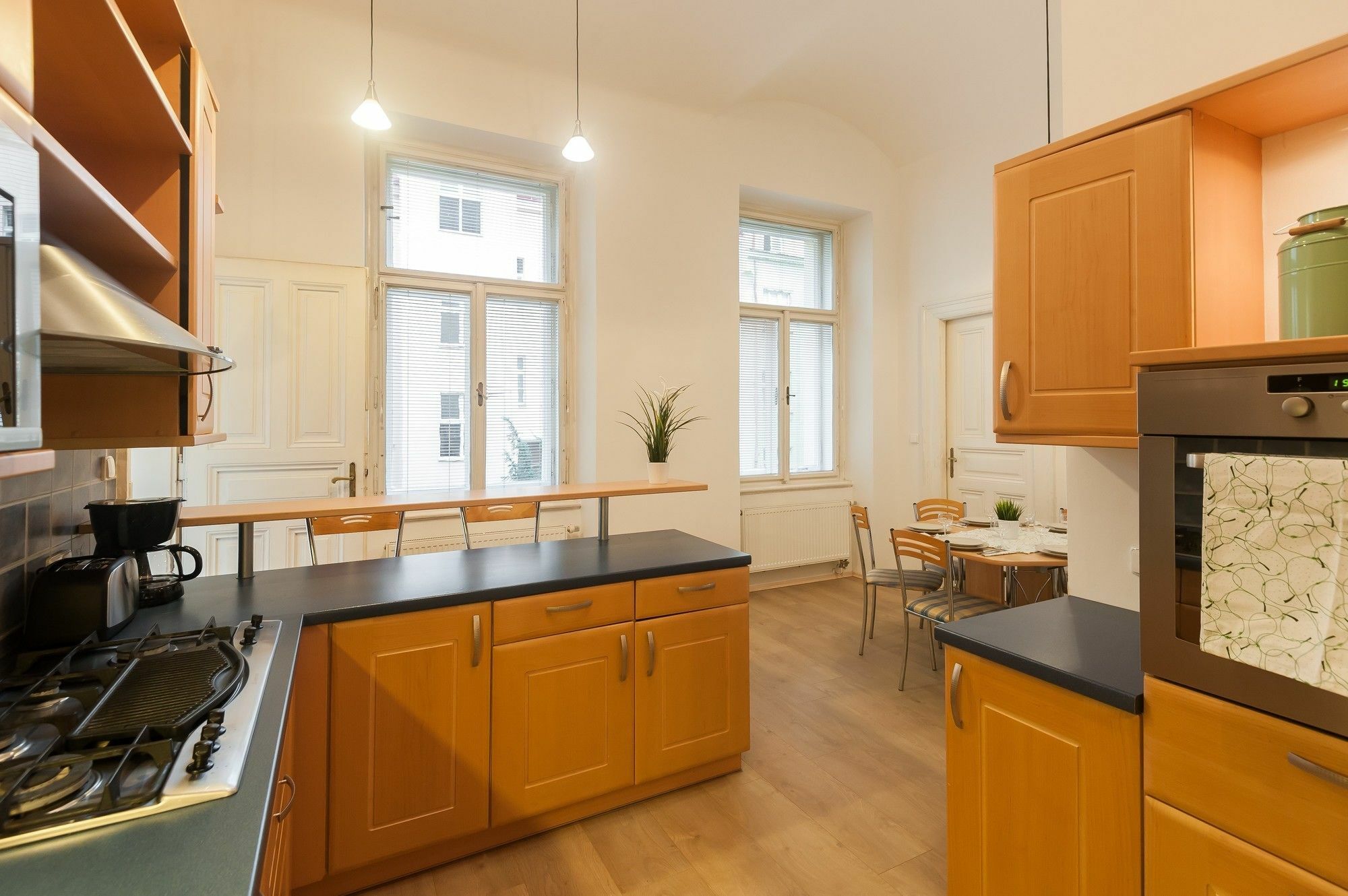 Apartment Na Smetance Prag