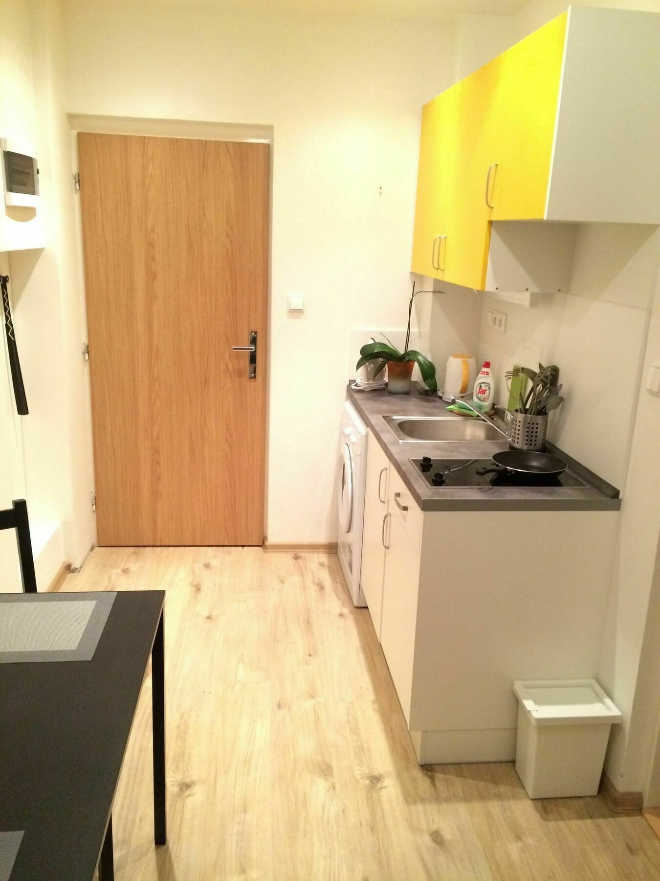 Nejedleho Apartment