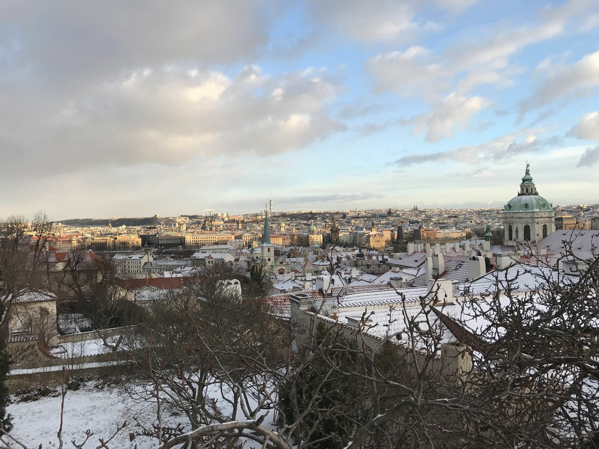 Royal View
