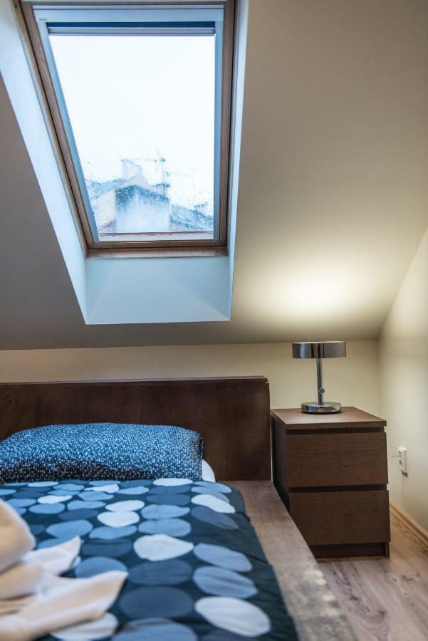 Spacious And Quiet Attic Flat In Centre Prague