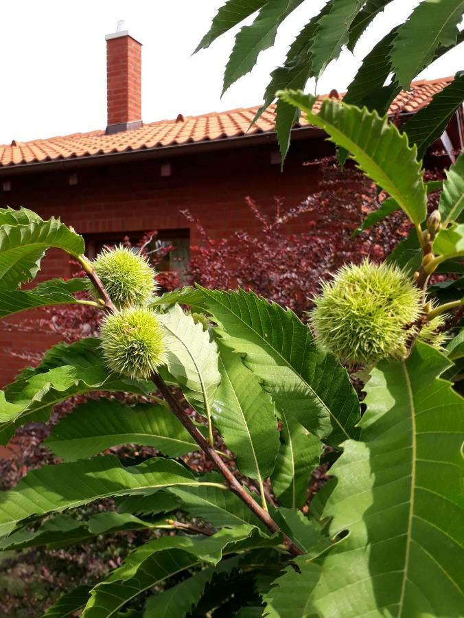 Apartamento Apartman V Zahrade